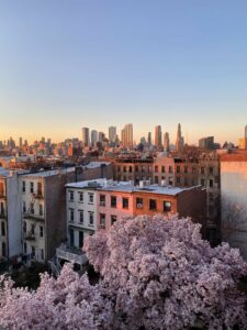 Achat appartement Pantin le nouveau Brooklyn